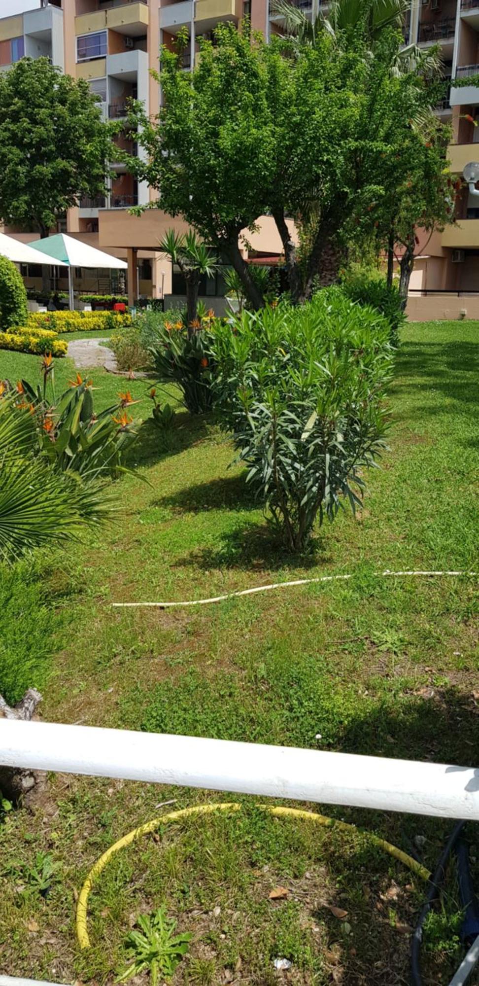 Green Oasis Roma Exterior foto